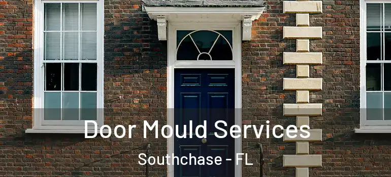  Door Mould Services Southchase - FL