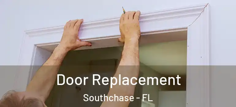  Door Replacement Southchase - FL