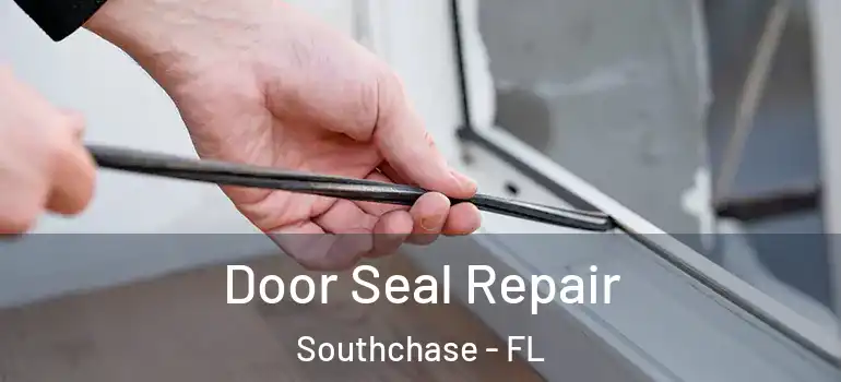  Door Seal Repair Southchase - FL