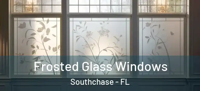  Frosted Glass Windows Southchase - FL
