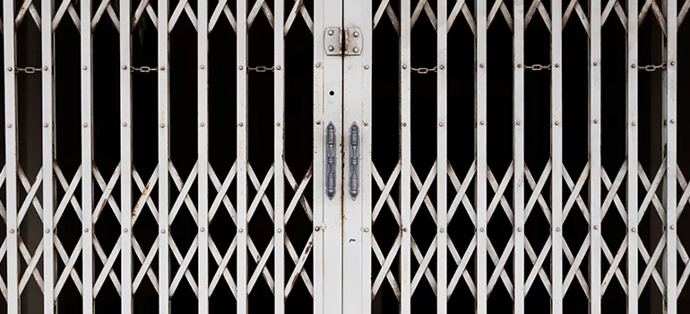 Steel Line Garage Door Repairs in Southchase, FL