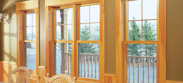 Government Incentives For Replacement Windows in Southchase, FL