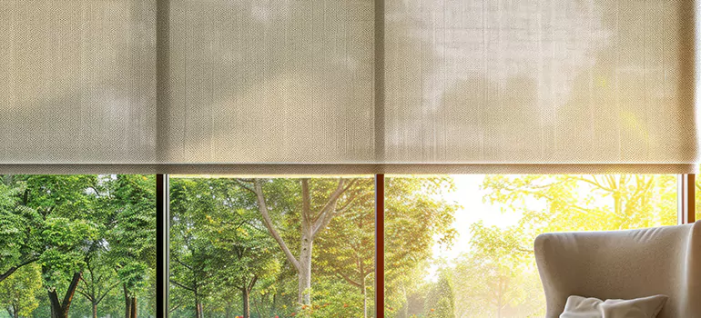Custom Window Shades in Southchase, FL