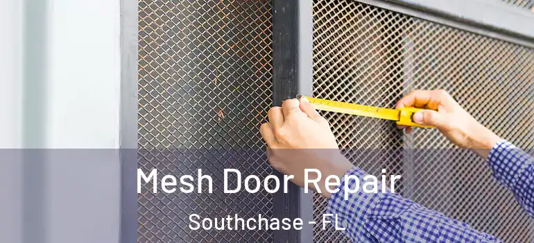  Mesh Door Repair Southchase - FL