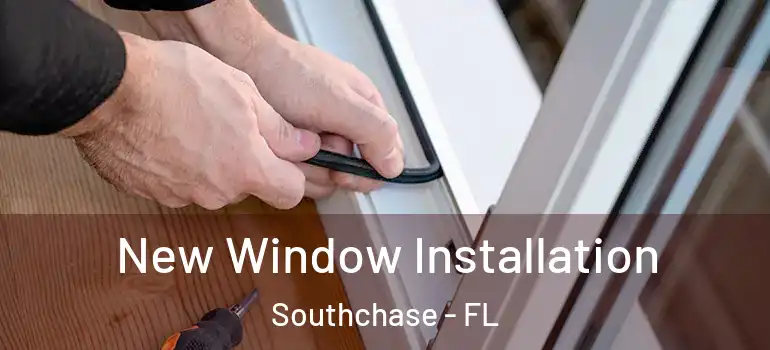  New Window Installation Southchase - FL