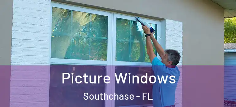  Picture Windows Southchase - FL