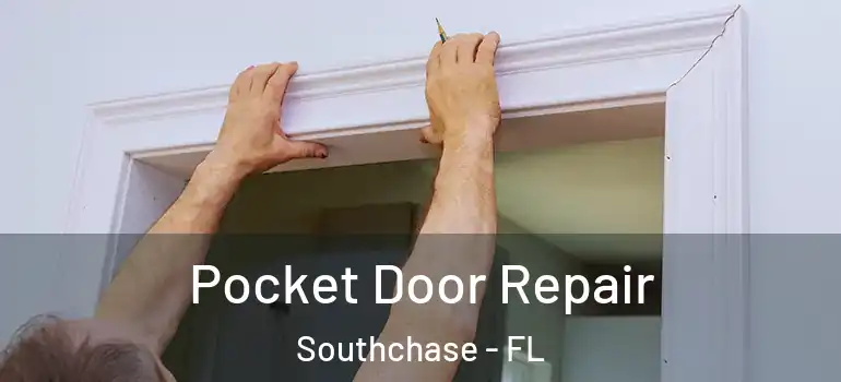  Pocket Door Repair Southchase - FL