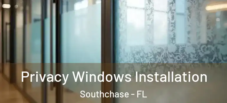  Privacy Windows Installation Southchase - FL