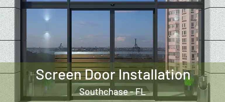  Screen Door Installation Southchase - FL