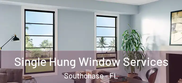  Single Hung Window Services Southchase - FL