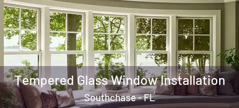  Tempered Glass Window Installation Southchase - FL