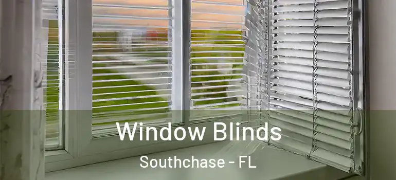  Window Blinds Southchase - FL