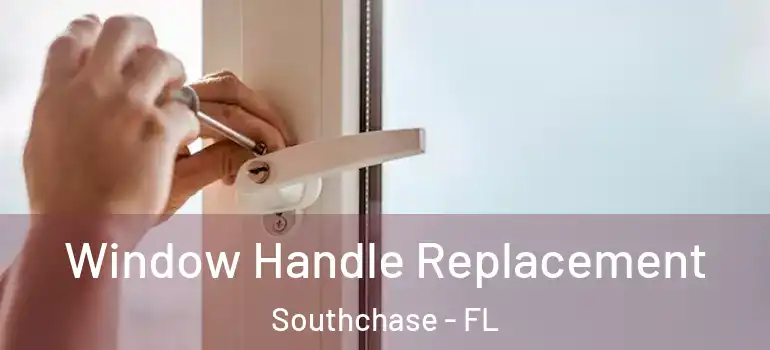  Window Handle Replacement Southchase - FL
