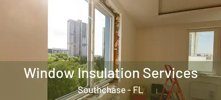  Window Insulation Services Southchase - FL