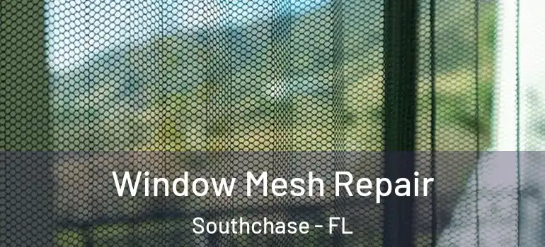  Window Mesh Repair Southchase - FL