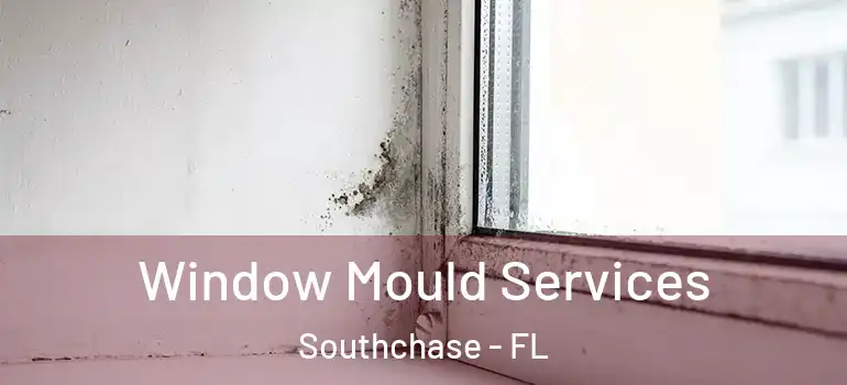  Window Mould Services Southchase - FL