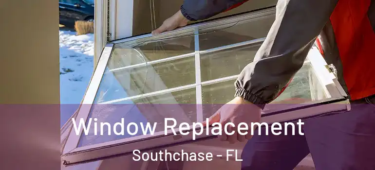  Window Replacement Southchase - FL