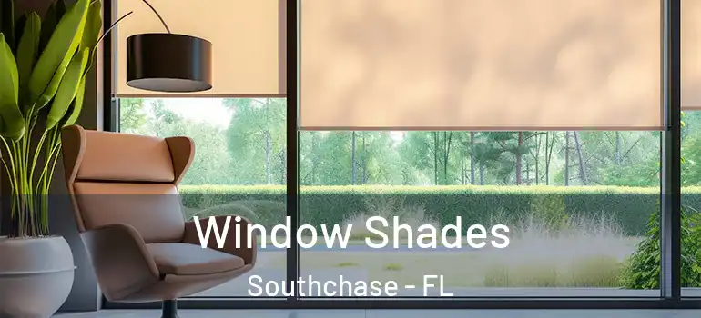  Window Shades Southchase - FL